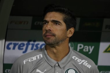 Sao Paulo (SP), 06 / 13 / 2024 - BRASILEIRO / PALMEIRAS Maçı, 13 Haziran 2024, Allianz Parque, Sao Paulo-SP