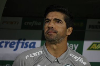 Sao Paulo (SP), 06 / 13 / 2024 - BRASILEIRO / PALMEIRAS Maçı, 13 Haziran 2024, Allianz Parque, Sao Paulo-SP