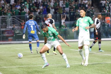 Sao Paulo (SP), 06 / 13 / 2024 - BRASILEIRO / PALMEIRAS Maçı, 13 Haziran 2024, Allianz Parque, Sao Paulo-SP. 