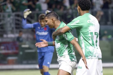 Sao Paulo (SP), 06 / 13 / 2024 - BRASILEIRO / PALMEIRAS Maçı, 13 Haziran 2024, Allianz Parque, Sao Paulo-SP. 