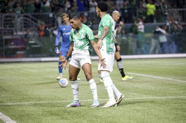 Sao Paulo (SP), 06 / 13 / 2024 - BRASILEIRO / PALMEIRAS Maçı, 13 Haziran 2024, Allianz Parque, Sao Paulo-SP. 