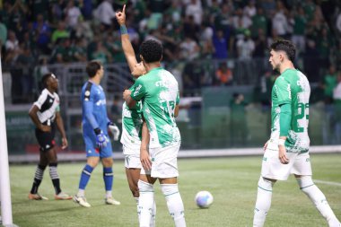 Sao Paulo (SP), 06 / 13 / 2024 - BRASILEIRO / PALMEIRAS Maçı, 13 Haziran 2024, Allianz Parque, Sao Paulo-SP. 