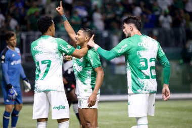 Sao Paulo (SP), 06 / 13 / 2024 - BRASILEIRO / PALMEIRAS Maçı, 13 Haziran 2024, Allianz Parque, Sao Paulo-SP. 
