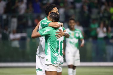 Sao Paulo (SP), 06 / 13 / 2024 - BRASILEIRO / PALMEIRAS Maçı, 13 Haziran 2024, Allianz Parque, Sao Paulo-SP. 