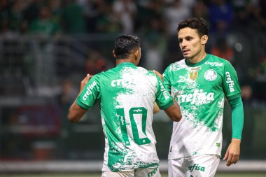 Sao Paulo (SP), 06 / 13 / 2024 - BRASILEIRO / PALMEIRAS Maçı, 13 Haziran 2024, Allianz Parque, Sao Paulo-SP. 