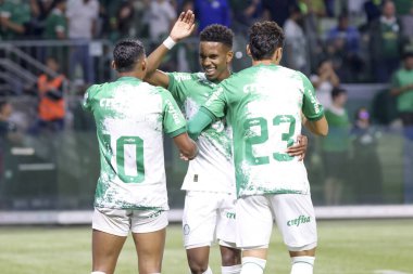 Sao Paulo (SP), 06 / 13 / 2024 - BRASILEIRO / PALMEIRAS Maçı, 13 Haziran 2024, Allianz Parque, Sao Paulo-SP. 