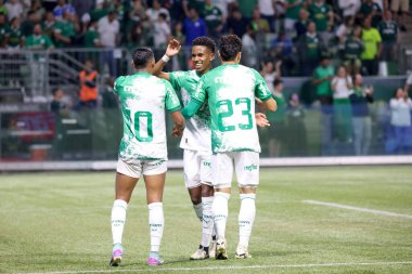 Sao Paulo (SP), 06 / 13 / 2024 - BRASILEIRO / PALMEIRAS Maçı, 13 Haziran 2024, Allianz Parque, Sao Paulo-SP. 