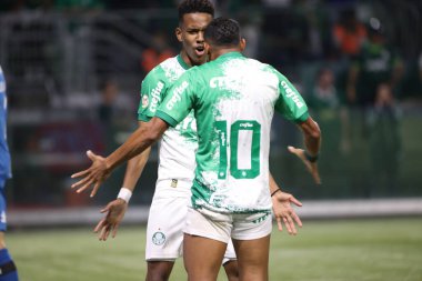 Sao Paulo (SP), 06 / 13 / 2024 - BRASILEIRO / PALMEIRAS Maçı, 13 Haziran 2024, Allianz Parque, Sao Paulo-SP. 