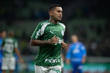 Sao Paulo (SP), 06 / 13 / 2024 - BRASILEIRO / PALMEIRAS Maçı, 13 Haziran 2024, Allianz Parque, Sao Paulo-SP