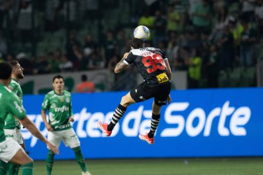 Sao Paulo (SP), 06 / 13 / 2024 - BRASILEIRO / PALMEIRAS Maçı, 13 Haziran 2024, Allianz Parque, Sao Paulo-SP. 