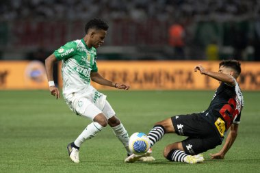 Sao Paulo (SP), 06 / 13 / 2024 - BRASILEIRO / PALMEIRAS Maçı, 13 Haziran 2024, Allianz Parque, Sao Paulo-SP. 
