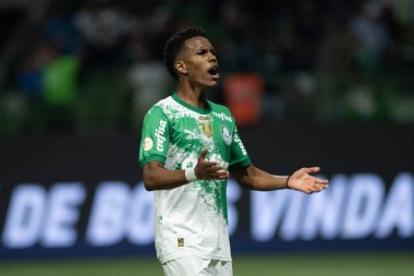 Sao Paulo (SP), 06 / 13 / 2024 - BRASILEIRO / PALMEIRAS Maçı, 13 Haziran 2024, Allianz Parque, Sao Paulo-SP