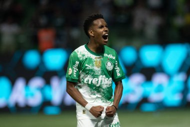 Sao Paulo (SP), 06 / 13 / 2024 - BRASILEIRO / PALMEIRAS Maçı, 13 Haziran 2024, Allianz Parque, Sao Paulo-SP