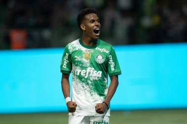 Sao Paulo (SP), 06 / 13 / 2024 - BRASILEIRO / PALMEIRAS Maçı, 13 Haziran 2024, Allianz Parque, Sao Paulo-SP