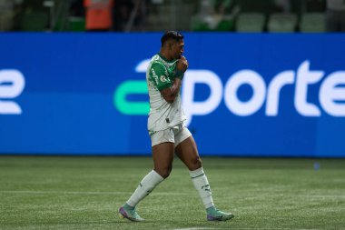 Sao Paulo (SP), 06 / 13 / 2024 - BRASILEIRO / PALMEIRAS Maçı, 13 Haziran 2024, Allianz Parque, Sao Paulo-SP