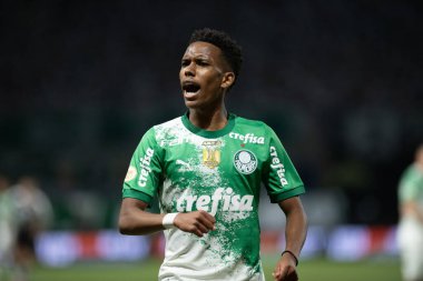 Sao Paulo (SP), 06 / 13 / 2024 - BRASILEIRO / PALMEIRAS Maçı, 13 Haziran 2024, Allianz Parque, Sao Paulo-SP