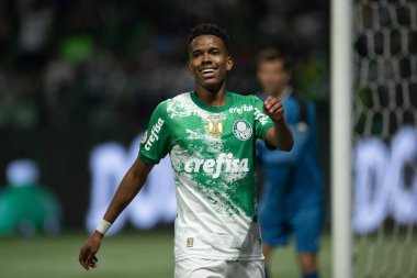 Sao Paulo (SP), 06 / 13 / 2024 - BRASILEIRO / PALMEIRAS Maçı, 13 Haziran 2024, Allianz Parque, Sao Paulo-SP