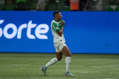 Sao Paulo (SP), 06 / 13 / 2024 - BRASILEIRO / PALMEIRAS Maçı, 13 Haziran 2024, Allianz Parque, Sao Paulo-SP