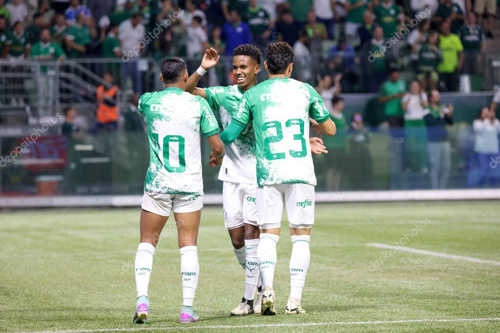 San Paolo 2024 Partita Brasileiro Palmeiras Giugno 2024 Presso Allianz