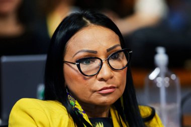 BRASILIA (DF), 06 / 18 / 2024: Temsilci Silvia Waiapi, Federal Senatoda İklim Değişikliği Daimi Ortak Komitesi sırasında, bu Salı, 18 Haziran 2024. 