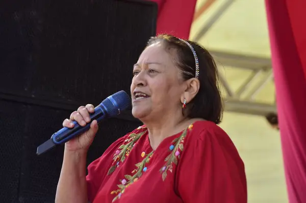 stock image NATAL (RN), 06/18/2024- MINISTERS/SEMINARY/WOMEN- The Minister of Culture Margareth Menezes and the Minister of Women Aparecida Goncalves and local authorities, during the opening of the National Seminar on Women, held in the city of Natal