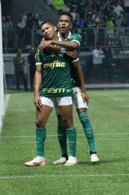 Sao Paulo (SP), 06 / 20 / 2024 - BRASILEIRO / PALMEIRAS fuarı, 20 Haziran 2024, Allianz Parque, Sao Paulo-SP