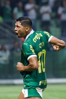 Sao Paulo (SP), 06 / 20 / 2024 - BRASILEIRO / PALMEIRAS fuarı, 20 Haziran 2024, Allianz Parque, Sao Paulo-SP