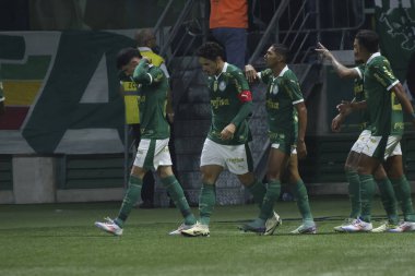 Sao Paulo (SP), 06 / 20 / 2024 - BRASILEIRO / PALMEIRAS fuarı, 20 Haziran 2024, Allianz Parque, Sao Paulo-SP