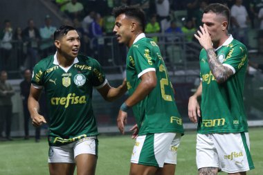 Sao Paulo (SP), 06 / 20 / 2024 - BRASILEIRO / PALMEIRAS fuarı, 20 Haziran 2024, Allianz Parque, Sao Paulo-SP