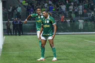 Sao Paulo (SP), 06 / 20 / 2024 - BRASILEIRO / PALMEIRAS fuarı, 20 Haziran 2024, Allianz Parque, Sao Paulo-SP