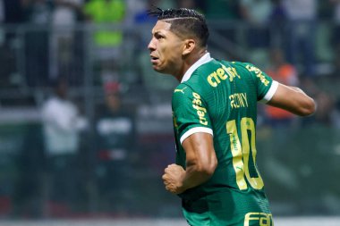 Sao Paulo (SP), 06 / 20 / 2024 - BRASILEIRO / PALMEIRAS fuarı, 20 Haziran 2024, Allianz Parque, Sao Paulo-SP