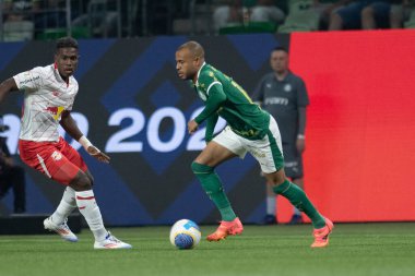 Sao Paulo (SP), 06 / 20 / 2024 - BRASILEIRO / PALMEIRAS 20 Haziran 2024, Allianz Parque, Sao Paulo-SP