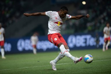 Sao Paulo (SP), 06 / 20 / 2024 - BRASILEIRO / PALMEIRAS, Allianz Parque, Sao Paulo-SP. 