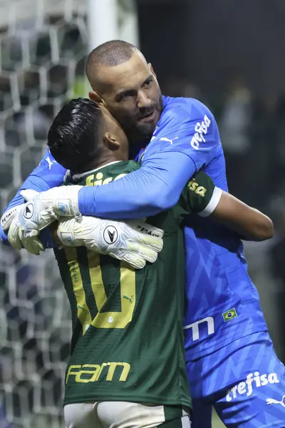 stock image Sao Paulo (SP), 06/20/2024 - BRASILEIRO/PALMEIRAS fair, June 20, 2024, at Allianz Parque, in Sao Paulo-SP