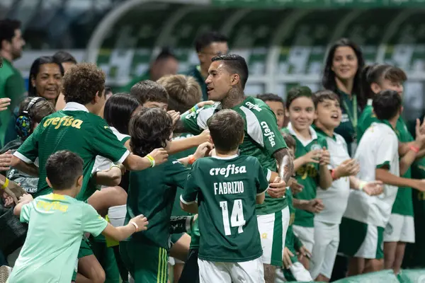 stock image Sao Paulo (SP), 06/20/2024 - BRASILEIRO/PALMEIRAS June 20, 2024 at Allianz Parque, in Sao Paulo-SP