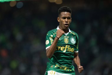 Palmeiras ile Juventude arasındaki maç 2024 Sao Paulo (SP), 06.23.2024 - BRASILEIRO PALMEIRAS Allianz Parque, Sao Paulo-SP.