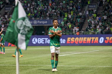 Palmeiras ile Juventude arasındaki maç 2024 Sao Paulo (SP), 06.23.2024 - BRASILEIRO PALMEIRAS Haziran 2024, Allianz Parque, Sao Paulo- SP.