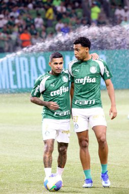 Palmeiras ile Juventude arasındaki maç 2024 Sao Paulo (SP), 06.23.2024 - BRASILEIRO PALMEIRAS Haziran 2024, Allianz Parque, Sao Paulo- SP.