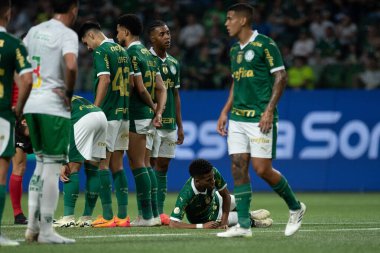 SAO PAULO (SP), 06.23.2024: Sao Paulo 'daki Allianz Parque Stadyumu' nda düzenlenen Brezilya Şampiyonası 'nın 11. turu için geçerli olan Palmeiras x Juventude arasındaki maç.