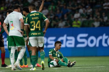 SAO PAULO (SP), 06.23.2024: Sao Paulo 'daki Allianz Parque Stadyumu' nda düzenlenen Brezilya Şampiyonası 'nın 11. turu için geçerli olan Palmeiras x Juventude arasındaki maç.