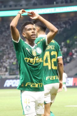 Palmeiras ile Juventude arasındaki maç 2024 Sao Paulo (SP), 06.23.2024 - BRASILEIRO PALMEIRAS Haziran 2024, Allianz Parque, Sao Paulo- SP.