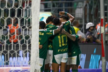 Palmeiras ile Juventude arasındaki maç 2024 Brezilya Şampiyonası Sao Paulo (SP), 06 23 2024 - BRAZILEIRO PALMEIRAS 23 Haziran 2024, Allianz Parque, Sao Paulo-SP.