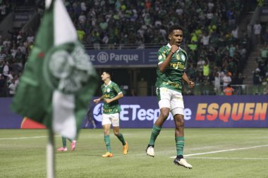 Palmeiras ile Juventude arasındaki maç 2024 Sao Paulo (SP), 06.23.2024 - BRASILEIRO PALMEIRAS Haziran 2024, Allianz Parque, Sao Paulo- SP.