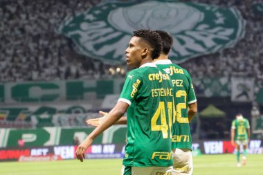 Palmeiras ile Juventude arasındaki maç 2024 Sao Paulo (SP), 06.23.2024 - BRASILEIRO PALMEIRAS Haziran 2024, Allianz Parque, Sao Paulo- SP.