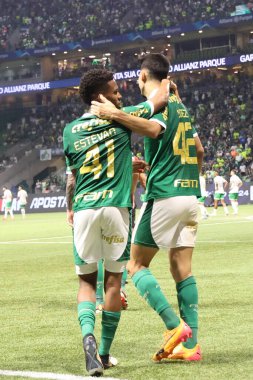 Palmeiras ile Juventude arasındaki maç 2024 Sao Paulo (SP), 06.23.2024 - BRASILEIRO PALMEIRAS Haziran 2024, Allianz Parque, Sao Paulo- SP.