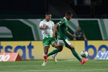 SAO PAULO (SP), 06.23.2024: Sao Paulo 'daki Allianz Parque Stadyumu' nda düzenlenen Brezilya Şampiyonası 'nın 11. turu için geçerli olan Palmeiras x Juventude arasındaki maç.