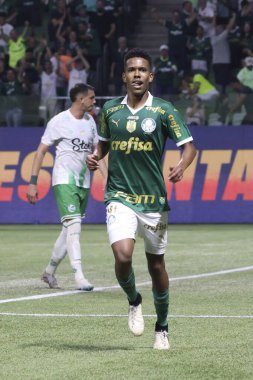 Palmeiras ile Juventude arasındaki maç 2024 Sao Paulo (SP), 06.23.2024 - BRASILEIRO PALMEIRAS Haziran 2024, Allianz Parque, Sao Paulo- SP.