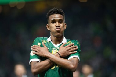 Palmeiras ile Juventude arasındaki maç 2024 Sao Paulo (SP), 06.23.2024 - BRASILEIRO PALMEIRAS Allianz Parque, Sao Paulo-SP.