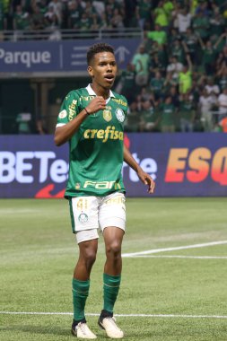 Palmeiras ile Juventude arasındaki maç 2024 Sao Paulo (SP), 06.23.2024 - BRASILEIRO PALMEIRAS Haziran 2024, Allianz Parque, Sao Paulo- SP.