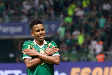 Palmeiras ile Juventude arasındaki maç 2024 Sao Paulo (SP), 06.23.2024 - BRASILEIRO PALMEIRAS Haziran 2024, Allianz Parque, Sao Paulo- SP.